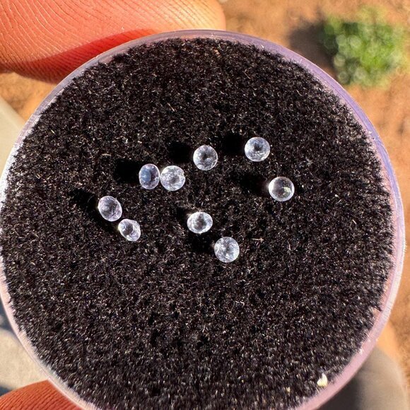 2mm Tanzanite Lot in Display Box - 9 pieces - Picture 1 of 3